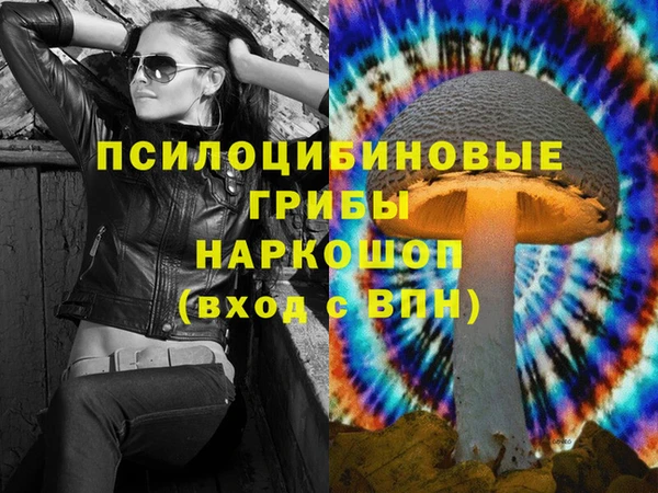 apvp Ладушкин