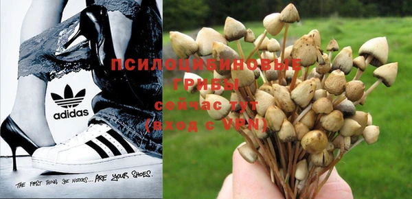 стафф Лагань