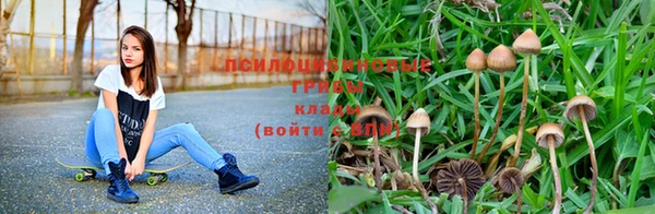 винт Долгопрудный