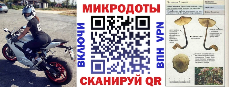 Галлюциногенные грибы Magic Shrooms  купить  цена  Усть-Катав 